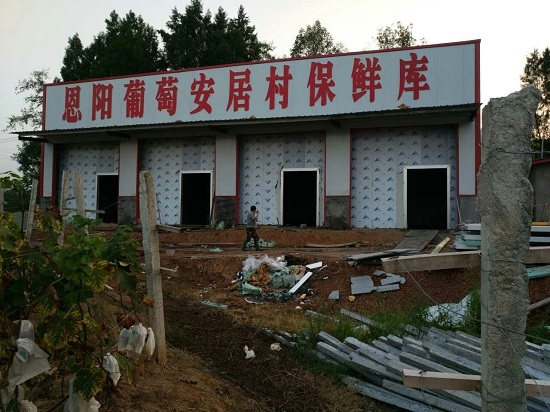 圖示：巴中市恩陽區(qū)葡萄保鮮庫