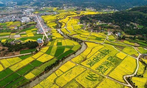 廣元蒼溪縣
