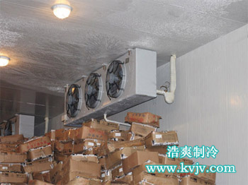 老鬼魚餌冷庫冷風(fēng)機(jī)