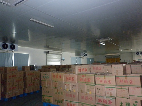 浩爽制冷為湖北神丹食品建造的雞蛋保鮮庫