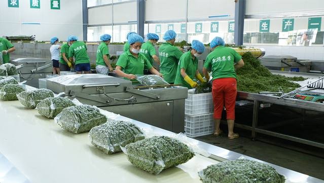 花椒怎么保存不變味？花椒冷庫長期儲存方法推薦