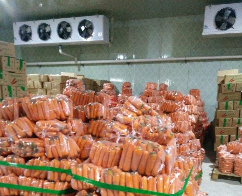 胡蘿卜保鮮冷庫實(shí)拍