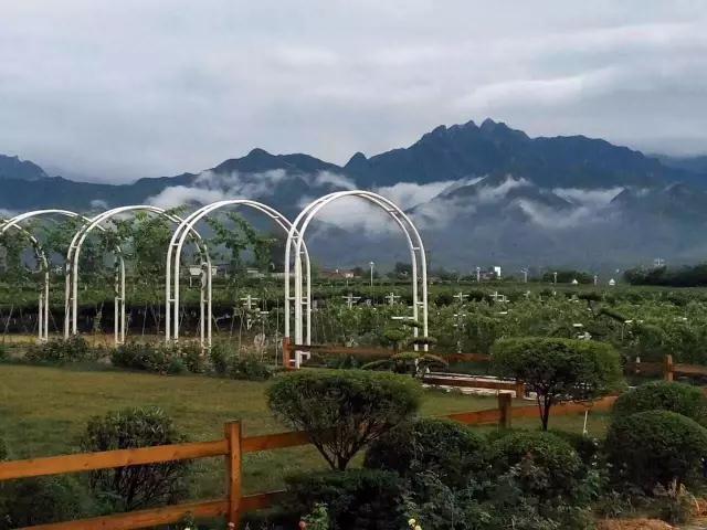 太浩葡萄莊園實(shí)拍