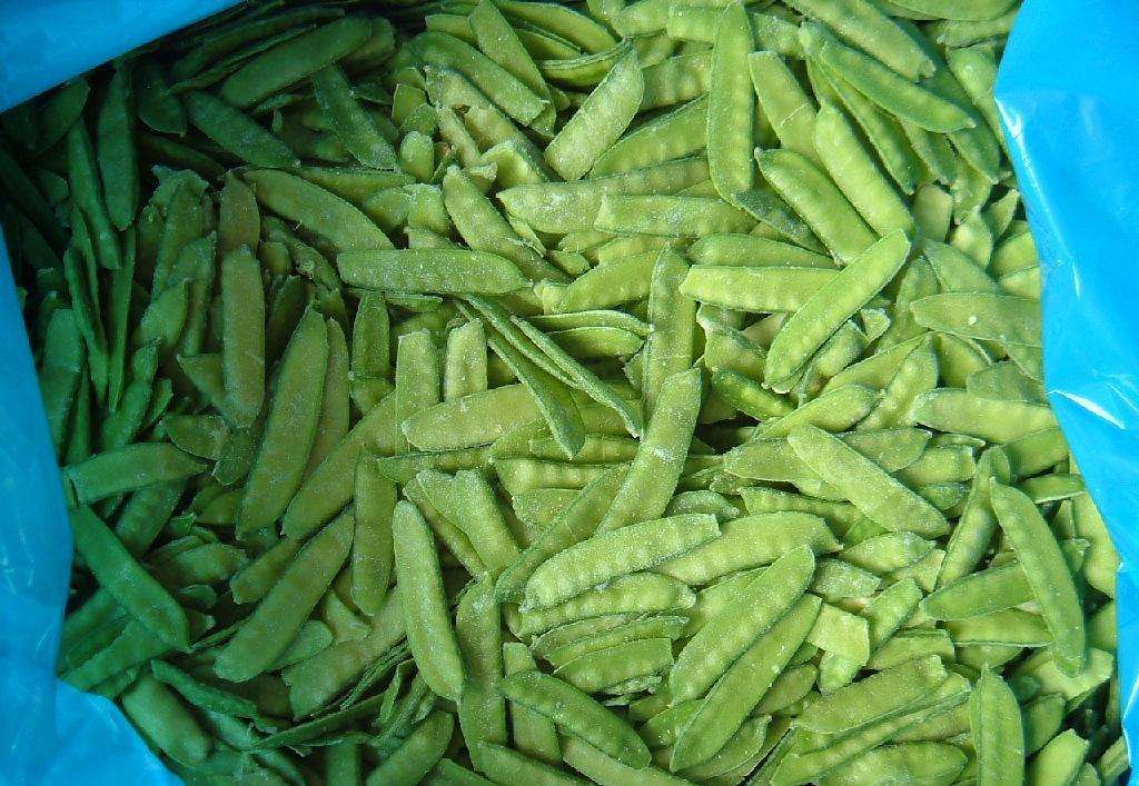 在冷庫貯藏3個(gè)月左右的荷蘭豆