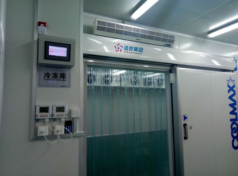 圖為低溫冷凍庫實拍
