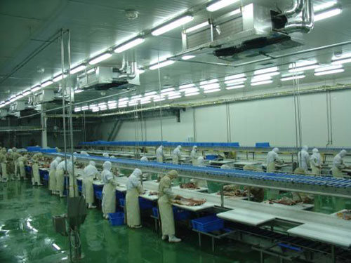 圖為肉制品冷庫內部實拍