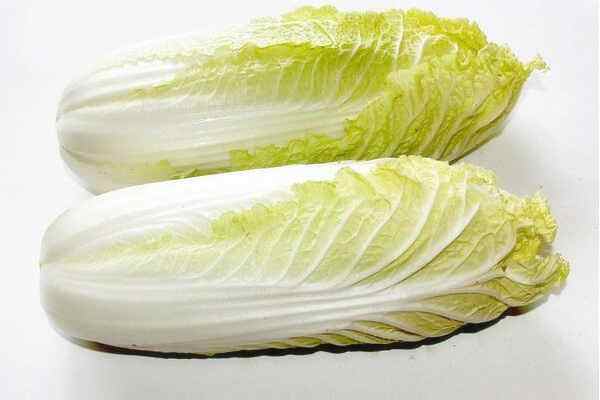 娃娃菜氣調保鮮庫貯藏技術，娃娃菜儲存時間最久的方法