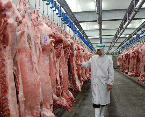 30平米的肉制品冷凍庫需要多少錢?
