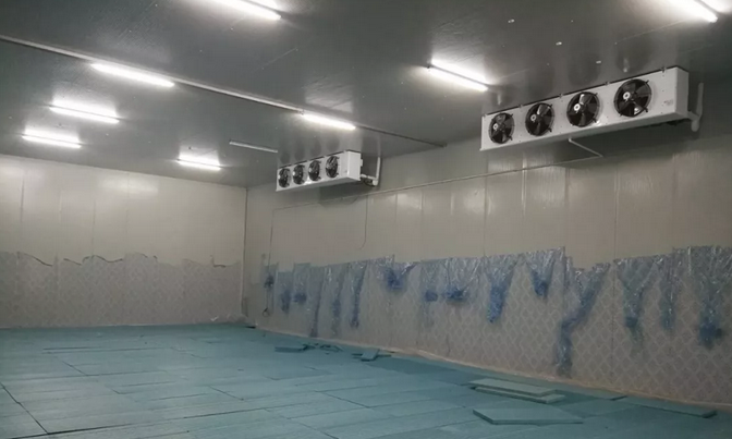 圖為冷庫內部實拍一