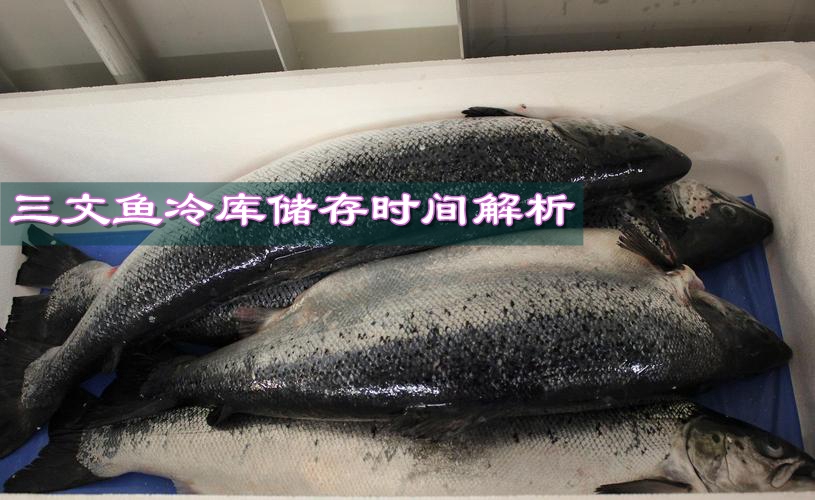 三文魚在零下35度下的儲存時間解析