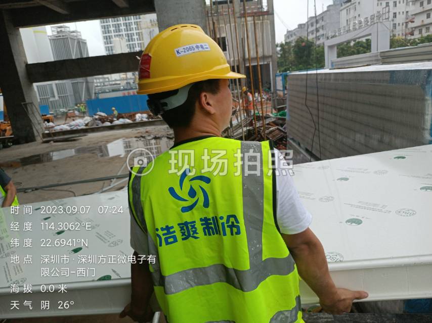銀杏果冷凍保存時(shí)間：如何保持口感和新鮮度？