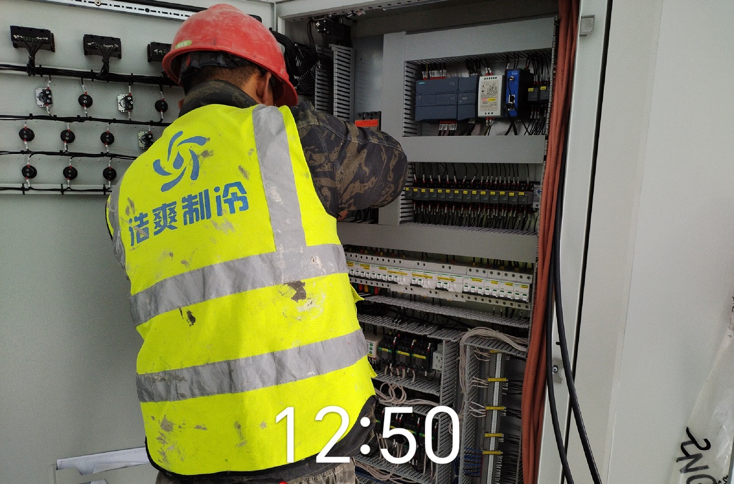 100噸雞蛋冷藏庫建造成本多少錢？