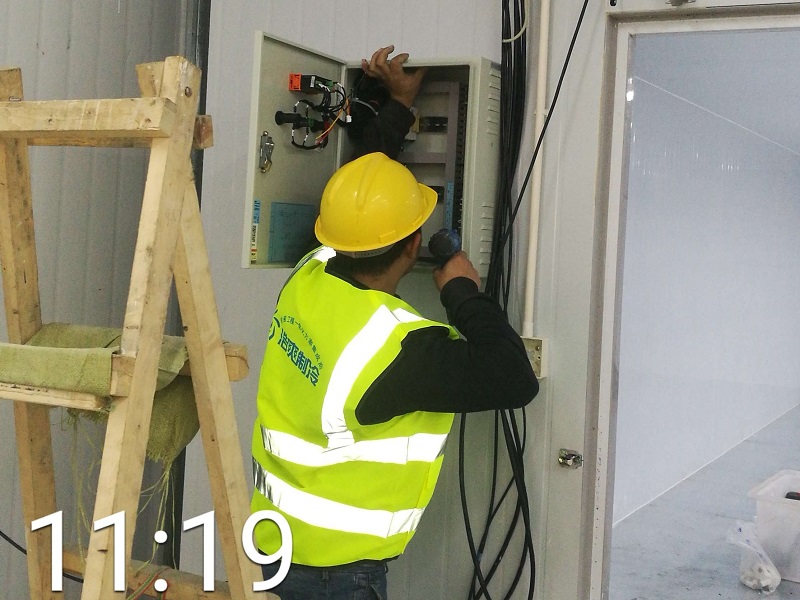 建設2000噸大型藍莓冷庫的投資預估：成本與效益一覽